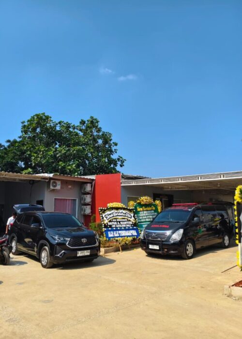 Galeri asd 6